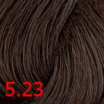 краска для волос TNL Million Glow Private Collection 5.23 Светлый коричневый перламутровый золотистый TNL Million Glow Private Collection 5.23 Светлый коричневый перламутровый золотистый
